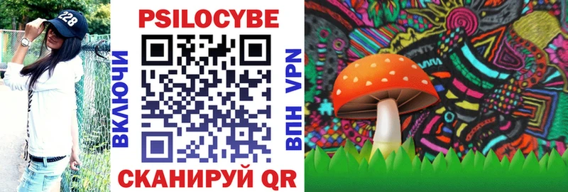Галлюциногенные грибы Psilocybine cubensis  Мглин 